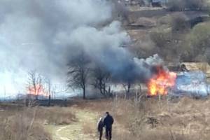 В Брянске на улице Счастливой подожгли сухую траву