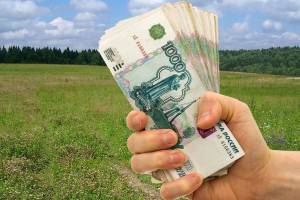 Работников клинцовского сельхозкооператива уличили в растрате 9,9 млн рублей