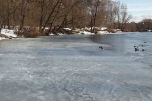 В Брянске 11-летний мальчик провалился под лед Десны