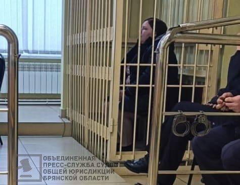 В Новозыбкове многодетную мать осудили за убийство сожителя 