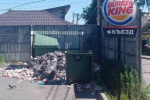 В Брянске проведут проверку из-за свалки возле «Burger King» 