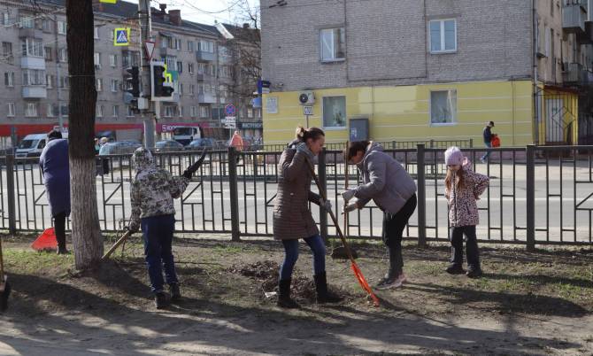 С территории Брянска вывезли 1340 кубометров отходов