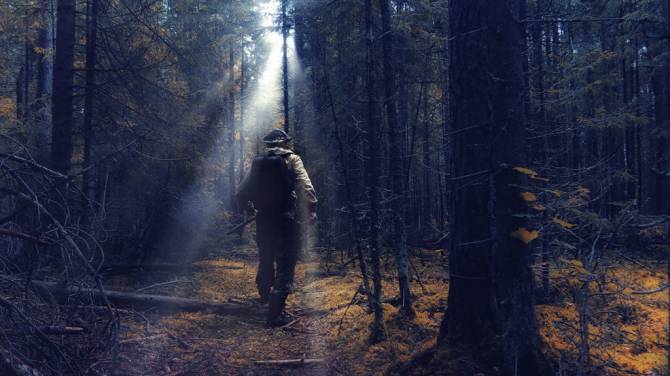 В поселке Климово ищут пропавшего в лесу Александра Денисенко