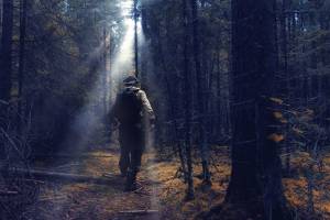 В поселке Климово ищут пропавшего в лесу Александра Денисенко