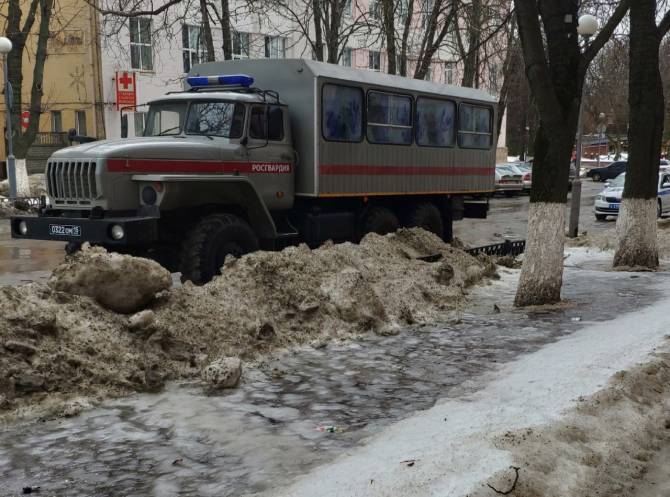 В годовщину гибели Немцова в центре Брянска появился ОМОН