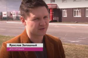 Саженец Ярослава Запашного украсил территорию школы № 71 в Брянске