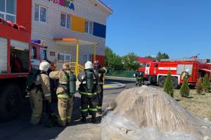 Суземские пожарные тушили огонь в саду «Ромашка»