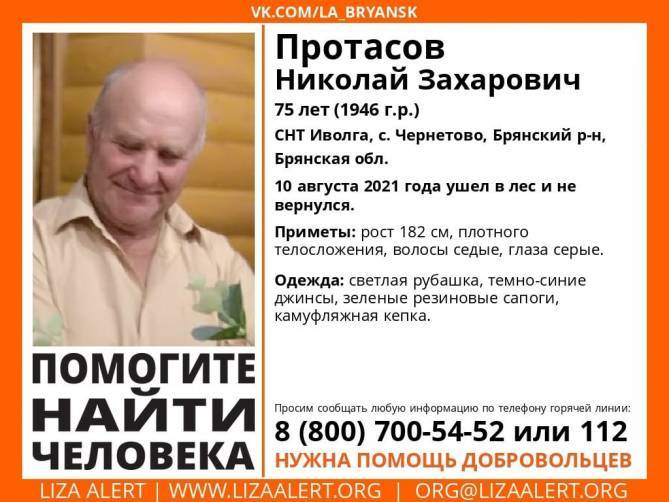 В Брянске нашли живым пропавшего в лесу 75-летнего Николая Протасова