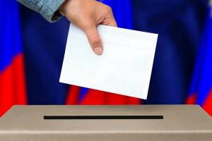 Брянцы смогут выбрать губернатора на цифровых участках в Москве