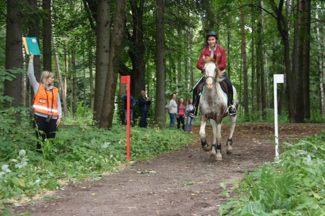 В Брянской области впервые пройдет турнир по конному туризму