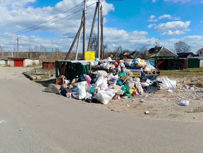 В городе Сельцо сняли на фото мусорный беспредел