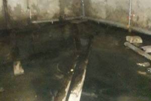 В Брянске прорвало канализацию в многоквартирном доме на улице Фокина 