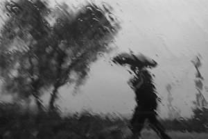 На Брянщине 20 апреля ожидается сильные дожди с грозами