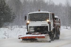 На дороги Брянщины бороться со снегом выехали 319 машин