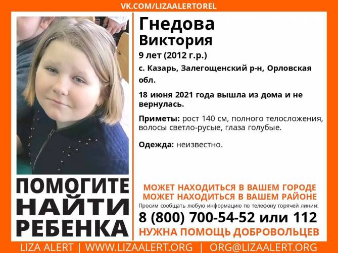 Брянские волонтеры помогают в поисках 9-летней Виктории Гнедовой из Орловской области