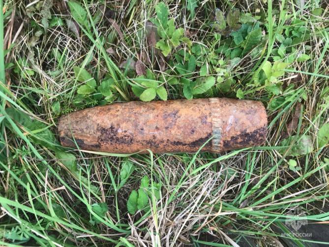 В лесу под Жуковкой нашли артиллерийский снаряд