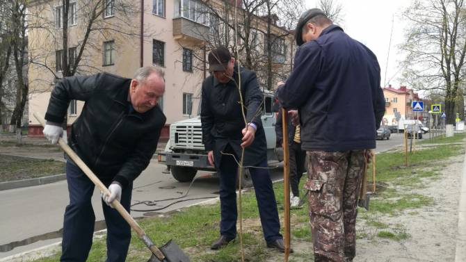 В Брянске на проспекте Московском высадили 76 саженцев рябины и липы