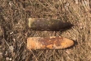 В поле возле навлинского села нашли два артиллерийских снаряда