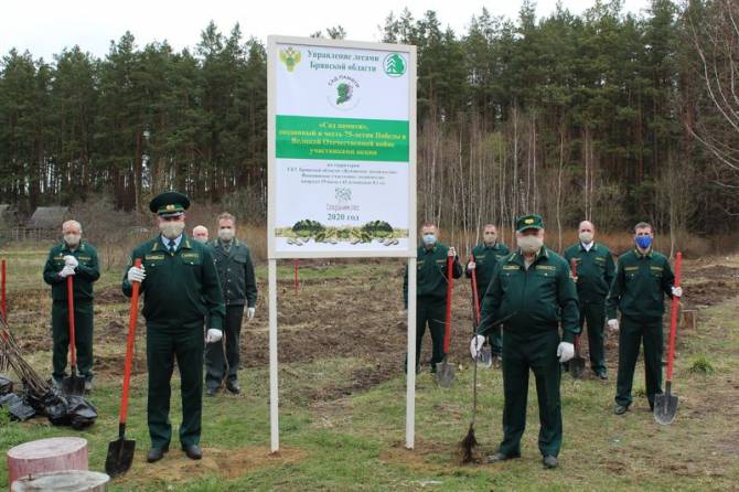 В Жуковском районе появился «Сад памяти»