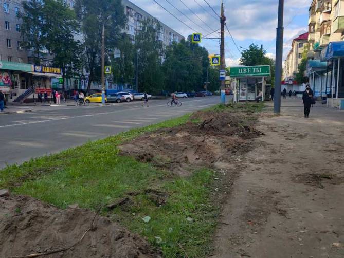 В Брянске заметили вырубку деревьев на улице 3 Интернационала