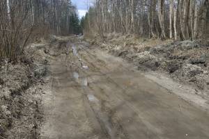 В Брянском районе отремонтировали отрезанную от цивилизации дорогу между Глаженкой и Корчминкой