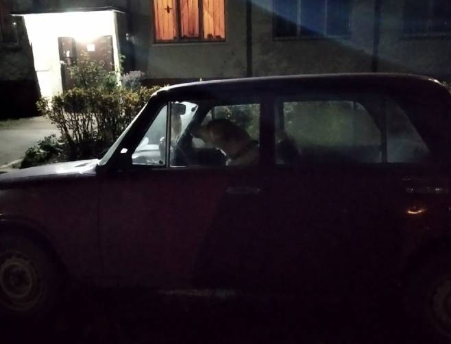 В Брянске автомобилист запер пса в старой легковушке