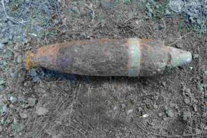 В лесу возле новозыбковского села Перевоз нашли минометную мину
