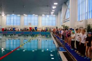 Поплавать в большом бассейне ФОКа «Бежица» можно за 310 рублей