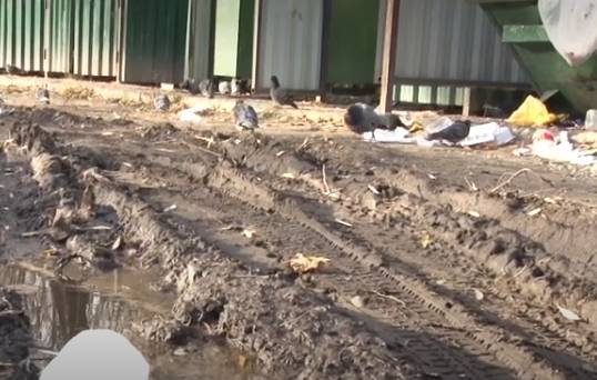 В Брянске мусорка на Кольцова оказалась в плену грязи и бродячих псов