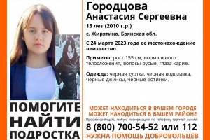 В Брянской области продолжаются поиски 13-летней Анастасии Городцовой