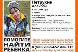 Пропавшего в Брянске 9-летнего Алексея Петрухина нашли живым