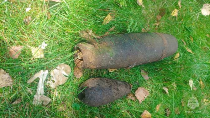 Под Брянском нашли артиллерийский снаряд и минометную мину