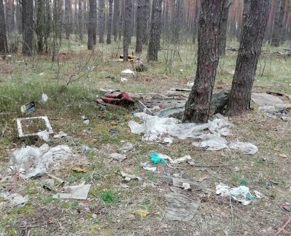 В лесу под Клинцами сняли на фото мусорный апокалипсис