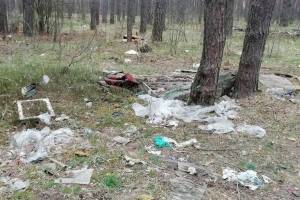 В лесу под Клинцами сняли на фото мусорный апокалипсис