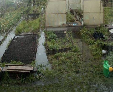 В Клинцах коммунальщиков оштрафовали за потоп из канализации