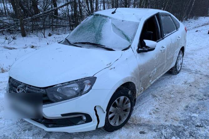 Под Стародубом женщина на снежной дороге слетела в кювет