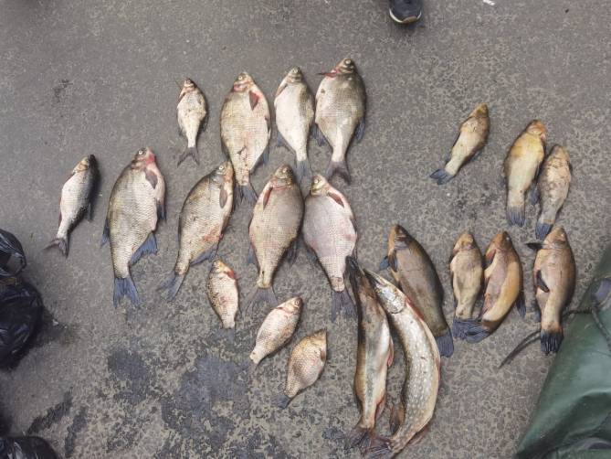 В Брянской области осудят 39-летнего уголовника за незаконную ловлю рыбы