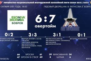 Брянские хоккеисты обыграли в гостях «ЭкоНиву-Бобров»