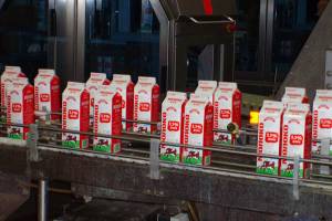 Forbes включил Брянский молочный комбинат в топ-10 лучших новых брендов России