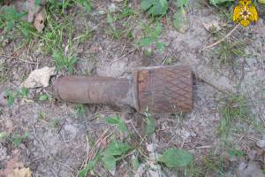 В Навлинском районе нашли гранату времён войны