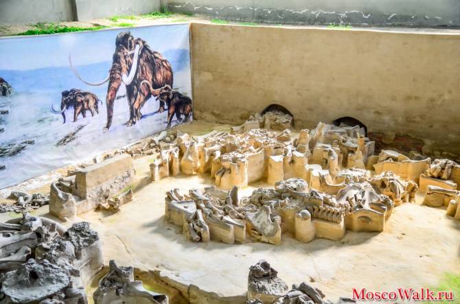 На реконструкцию брянского музея «Палеолит» выделят 64 млн рублей 