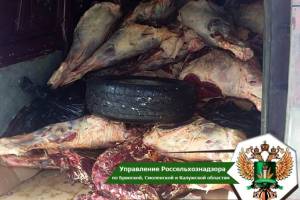 На Брянщине уничтожили белорусское мясо