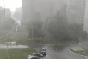 На Брянск вслед за ураганным ветром обрушился ливень