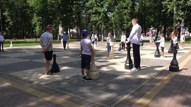 В Брянске юные спортсмены устроили шахматный косплей