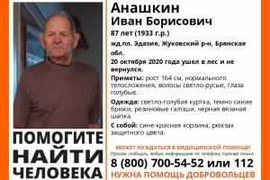 Под Жуковкой в лесу пропал 87-летний Иван Анашкин