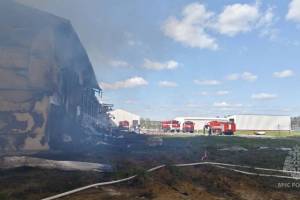 В Выгоничском районе сгорела птицеводческая ферма «Мираторга»