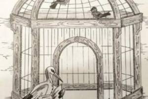 Брянский арт-объект «Птичья «клетка» Бёме» победил на всероссийском конкурсе
