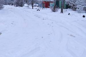 Жители Новозыбкова пожаловались на нечищенные дороги