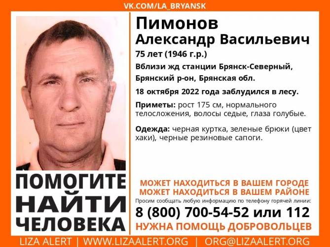 На Брянщине заблудился в лесу 75-летний Александр Пимонов