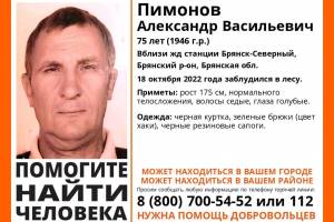 На Брянщине заблудился в лесу 75-летний Александр Пимонов